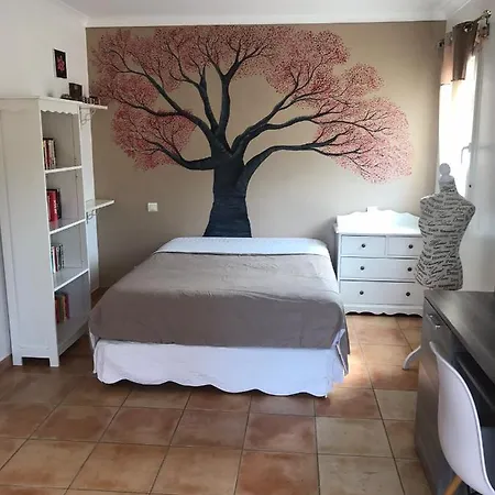 Sous La Paillote... Villa *