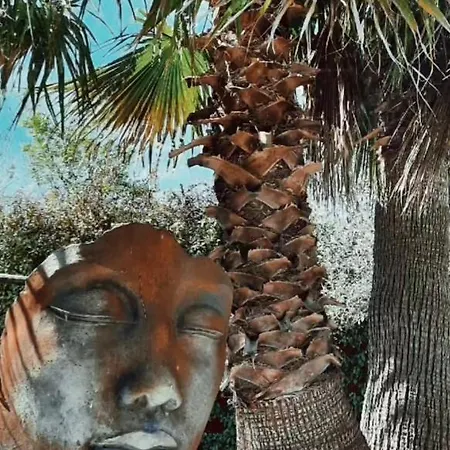 Villa Sous La Paillote... *